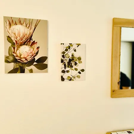 Baechle, Sehr Zentral Apartment Freiburg im Breisgau
